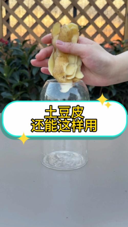 园艺农作物种植技巧三农农村生活